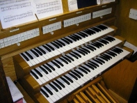 Organ 3